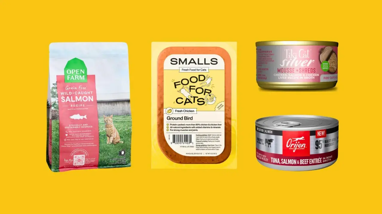 Discover what is the healthiest cat food for indoor cats: Open Farm salmon kibble, Smalls ground bird, Tiki Cat Silver, and Orijen tuna, salmon & beef.