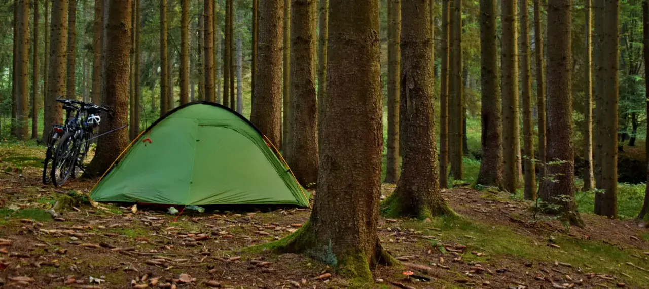 Ziel: gdzie pod namiot nad jezioro. Zielony namiot i dwa rowery czekają na nocleg w lesie, blisko wody.