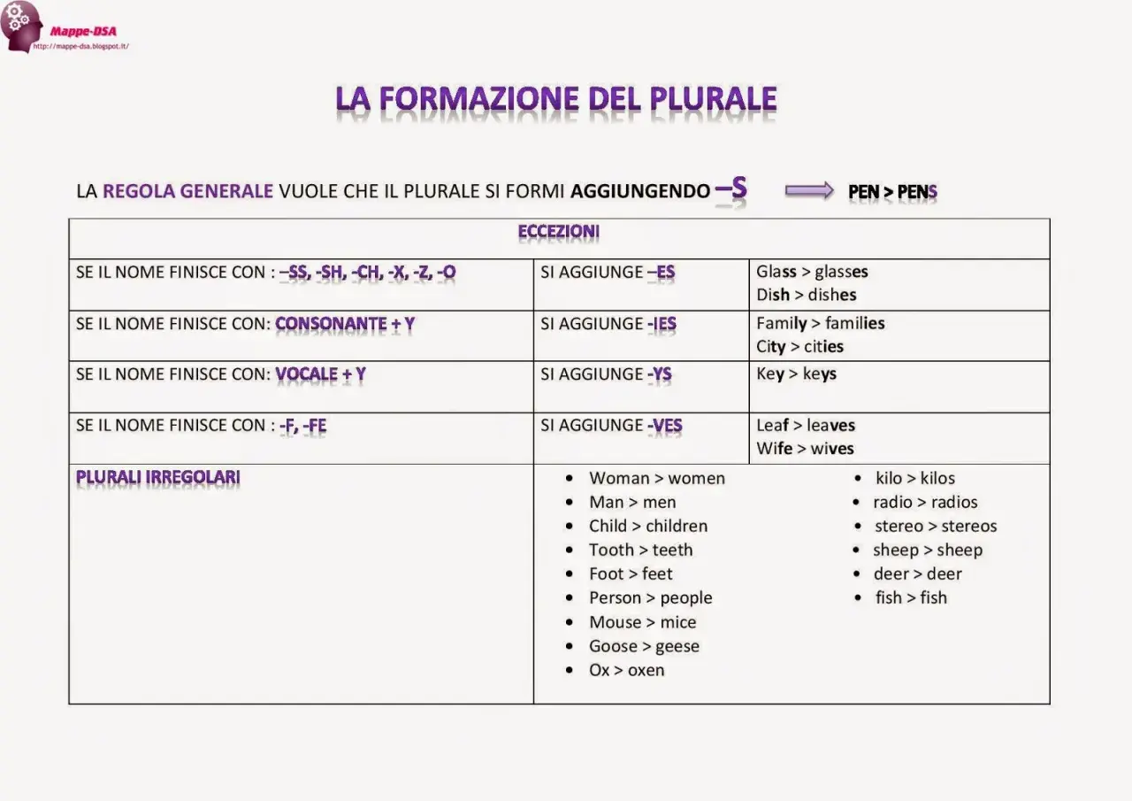 Tabella sulla formazione del plurale in inglese: regole generali, eccezioni e plurali irregolari. Esempi: pen > pens, leaf > leaves.