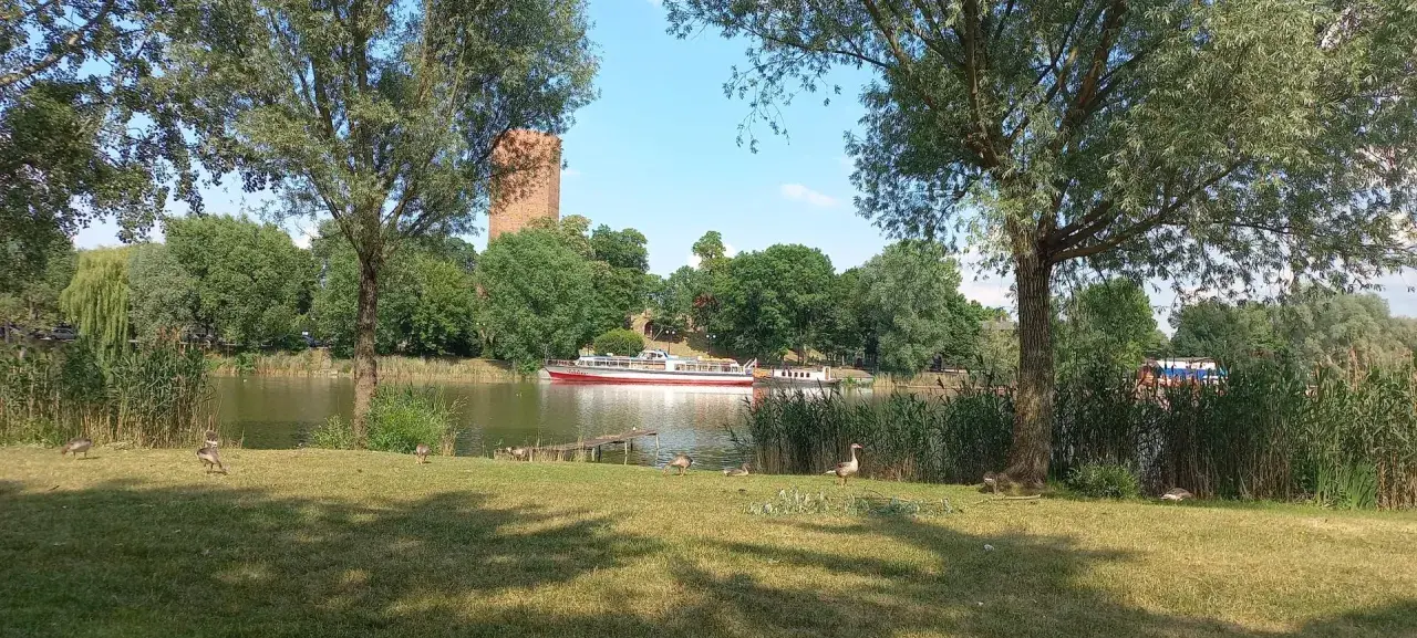 Gęsi spacerują po trawie nad jeziorem Gopło, gdzie pływa statek wycieczkowy. W tle widać wieżę.