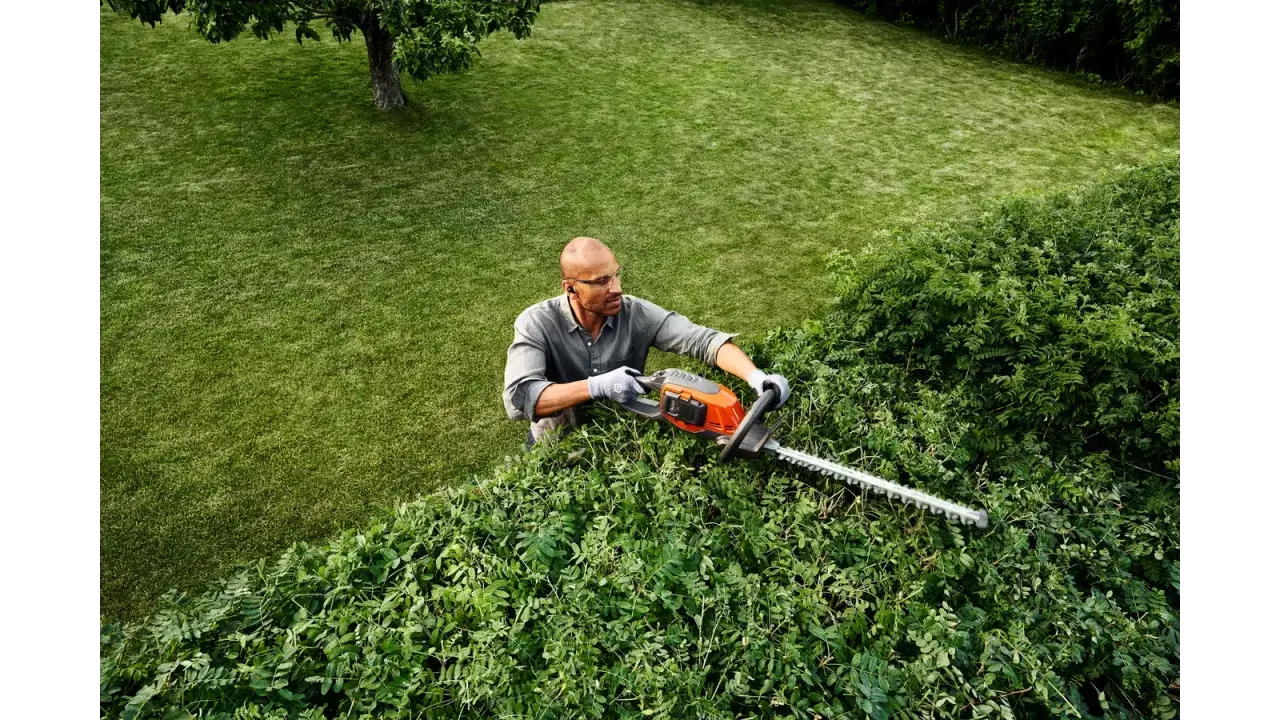 Hombre con gafas y guantes realiza la poda de setos con una cortasetos eléctrica. El césped verde y un árbol completan la escena.