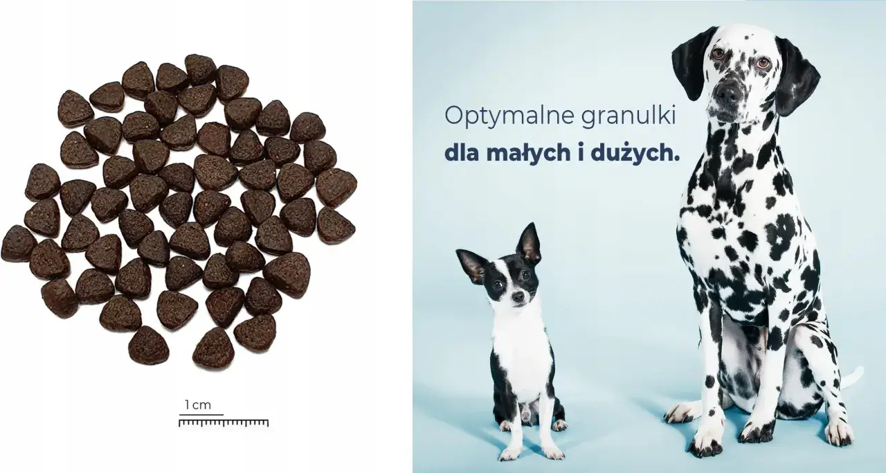 Granulki karmy z jelenia dla psa, idealne dla małych i dużych pupili.