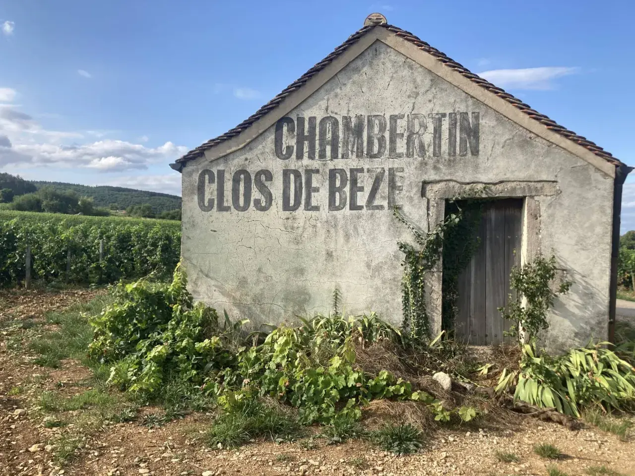 Capanna in vigneto con scritta "CHAMBERTIN CLOS DE BEZE", un nome che evoca il prestigio del **grand cru Borgogna**.