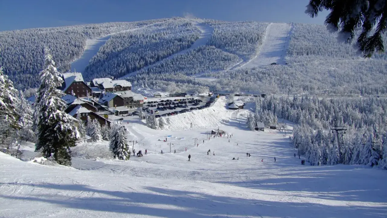 Ośnieżone stoki i lasy wokół ośrodka cervenohorske sedlo ski. Narciarze szusują po łagodnych zboczach, a w tle widać parking i zabudowania.