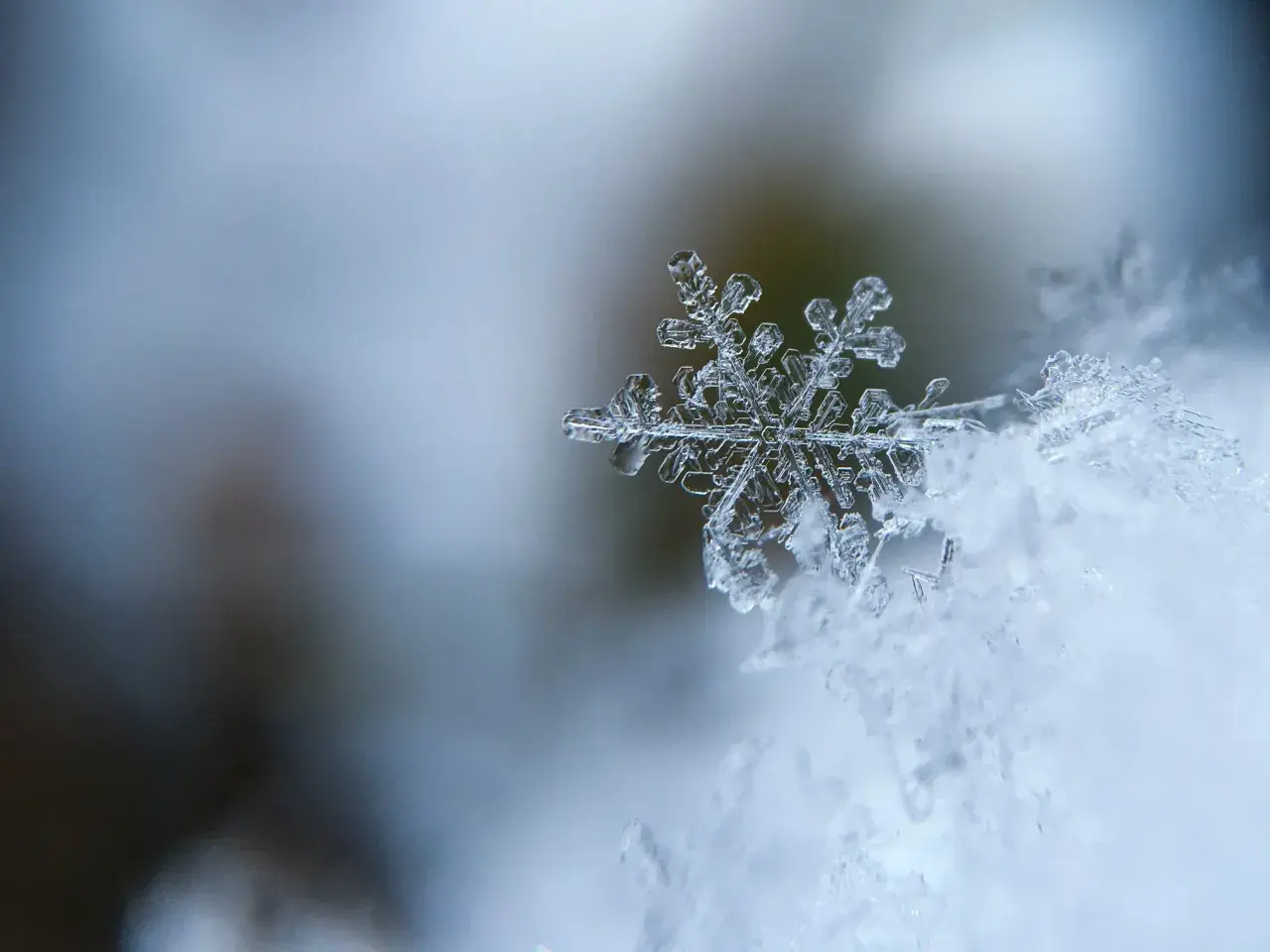 Un fiocco di neve, un capolavoro di cristallo, posa su un letto di neve soffice. Le sue delicate ramificazioni raccontano storie di freddo e magia, parole invernali che danzano nel silenzio.