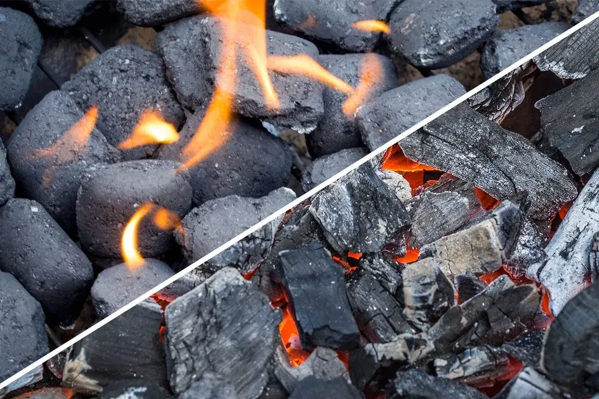 Comparaison visuelle : le charbon de bois, irrégulier et incandescent, face au charbon compact et en flammes.