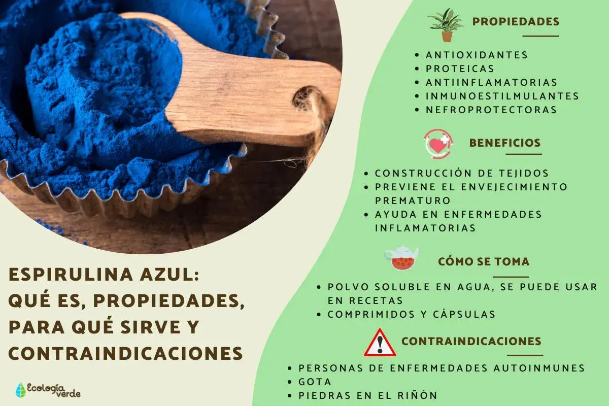 Espirulina azul: sus propiedades, para qué sirve y contraindicaciones. Ayuda a la construcción de tejidos y previene el envejecimiento.