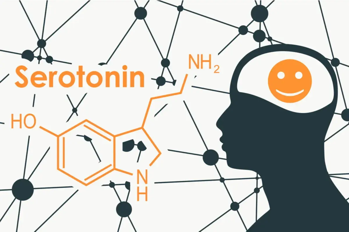 La serotonina, l'ormone della felicità, rappresentata con la sua formula chimica e un cervello sorridente.