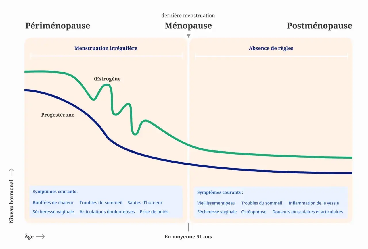 Graphique montrant la baisse des hormones œstrogène et progestérone, marquant la périménopause, la ménopause et la postménopause, avec les symptômes associés.