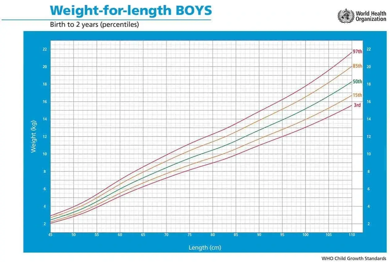 Grafico OMS: tabelle percentili peso/lunghezza per neonati maschi da 0 a 2 anni. Mostra curve di crescita per diverse percentili.