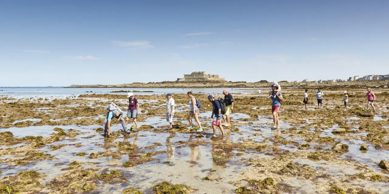 Menschen erkunden bei Ebbe die felsige Küste von Saint-Malo. Im Hintergrund thront die Festung auf ihrer Insel.
