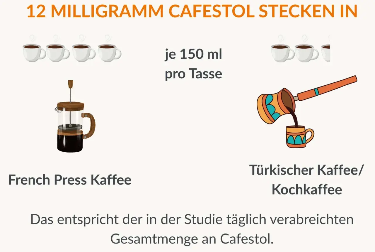 12 mg Cafestol stecken in French Press Kaffee und türkischem Kaffee. Dies entspricht der täglichen Dosis in einer Studie.