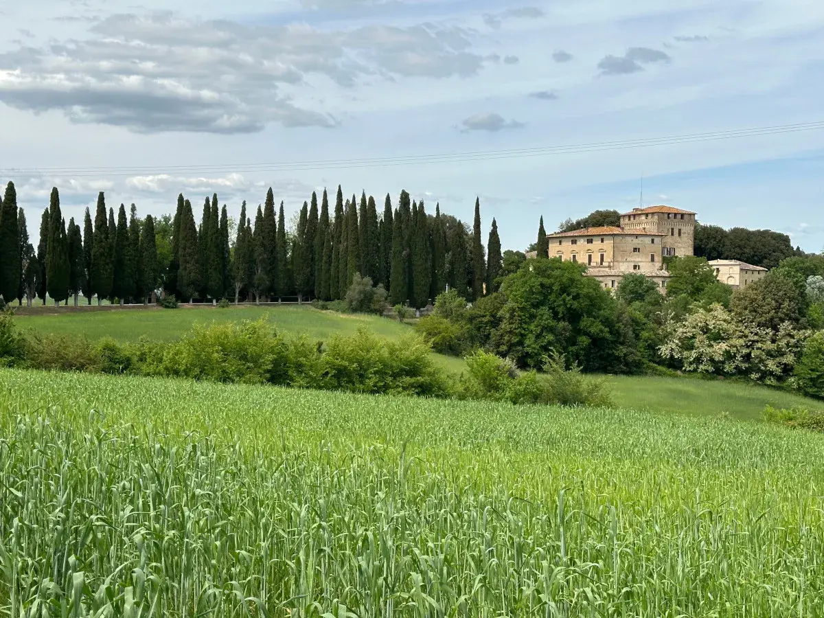 Campi verdi e un casale toscano sullo sfondo, un paesaggio tipico della chianti route sr222.