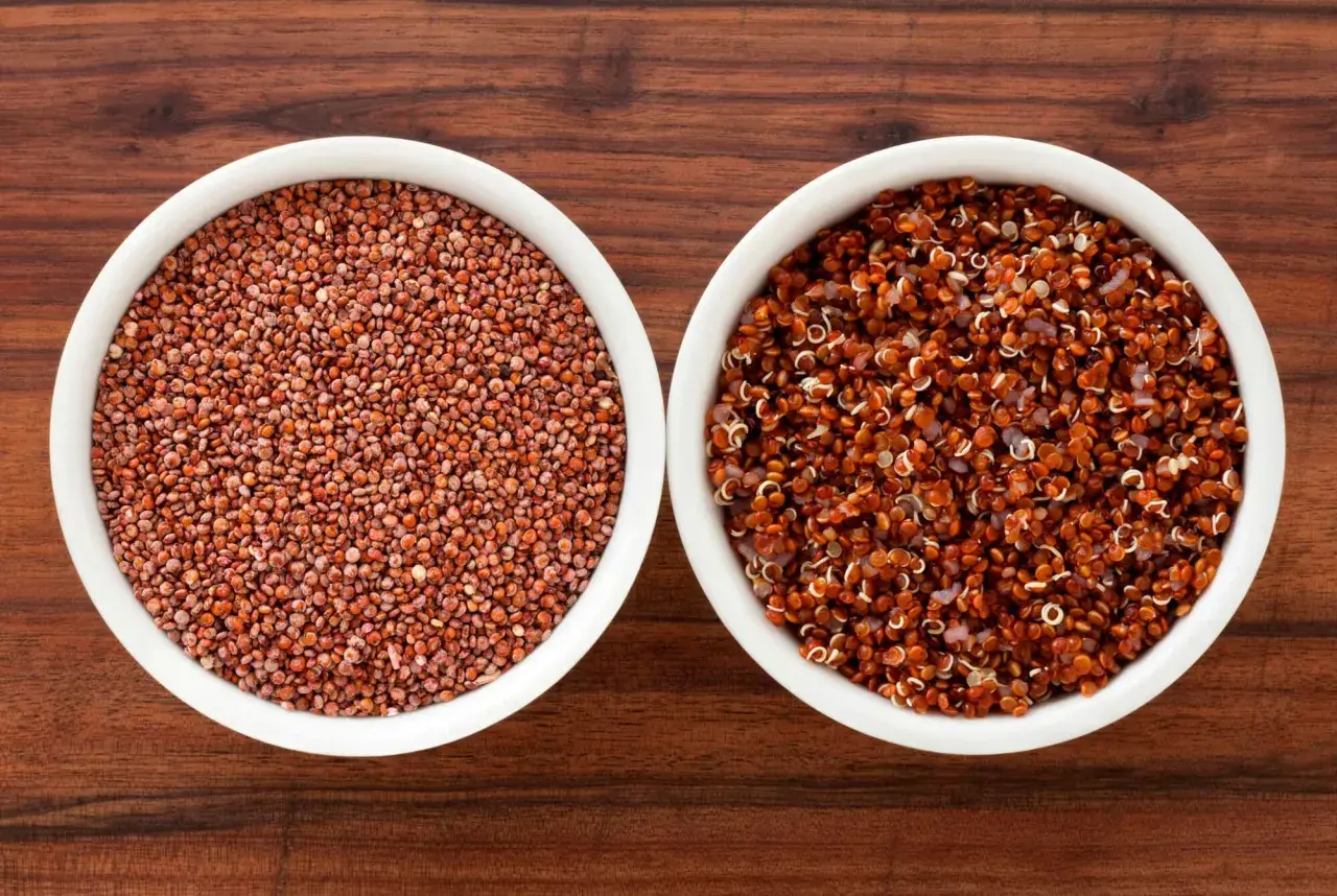 Två skålar med quinoa, en med råa röda frön och en med kokt, som visar dess höga quinoa protein.