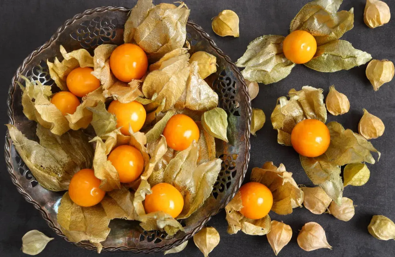 Frische Physalis-Früchte, umhüllt von ihren papierartigen Hüllen, liegen in einer verzierten Schale und verstreut auf dunklem Untergrund.