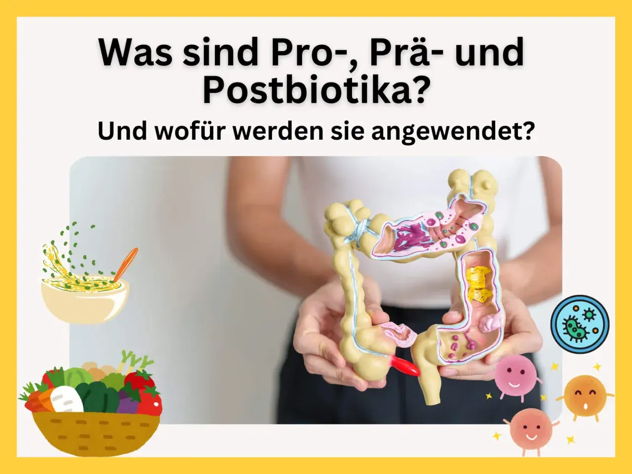 Ein Darmmodell wird gehalten, daneben eine Schüssel mit Essen und ein Korb voller Gemüse. Die Grafik erklärt, was präbiotika und probiotika sind.