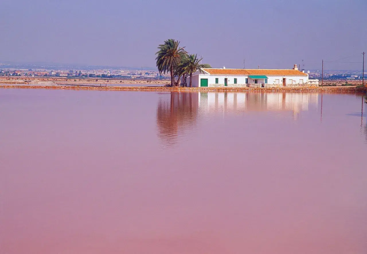 Casa blanca junto a palmeras sobre el agua rosa de la playa rosa Murcia.