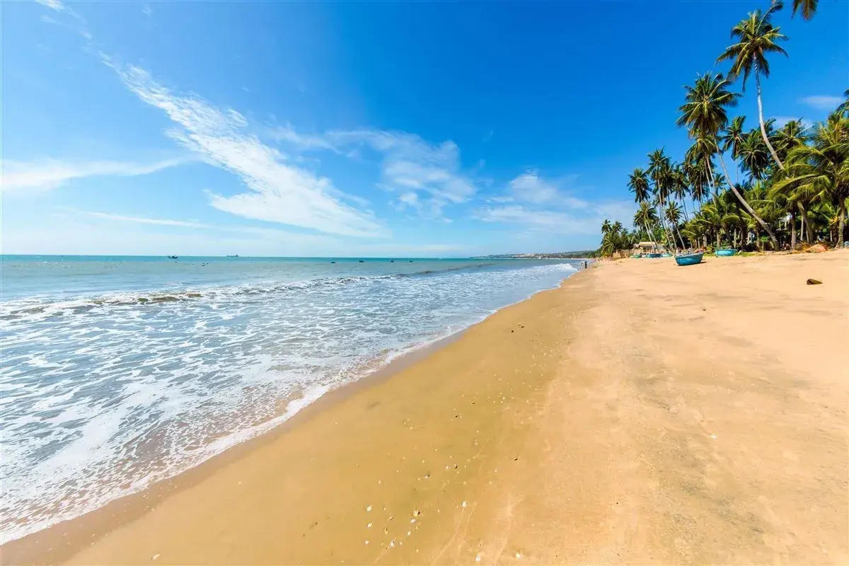 Traumhafter Strand in Phan Thiet mit Palmen und türkisfarbenem Meer. Meine Erfahrungen hier sind unvergesslich.