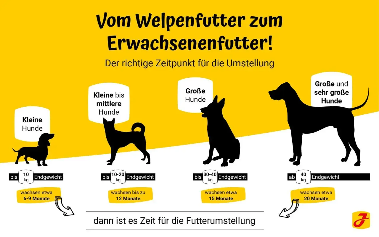 Infografik zeigt, wie lange Welpenfutter für verschiedene Hundegrößen. Kleine Hunde bis 10 kg bis 6-9 Monate, mittlere bis 20 kg bis 12 Monate, große bis 40 kg bis 15 Monate, sehr große über 40 kg bis 20 Monate.