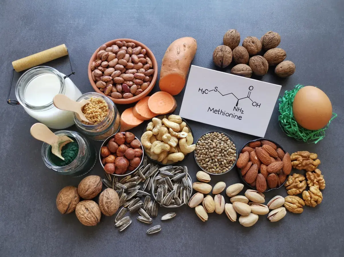 Fonti di metionina: fagioli, patate dolci, noci, mandorle, pistacchi, semi di girasole, anacardi, nocciole, latte, uovo, spirulina e la sua formula chimica.