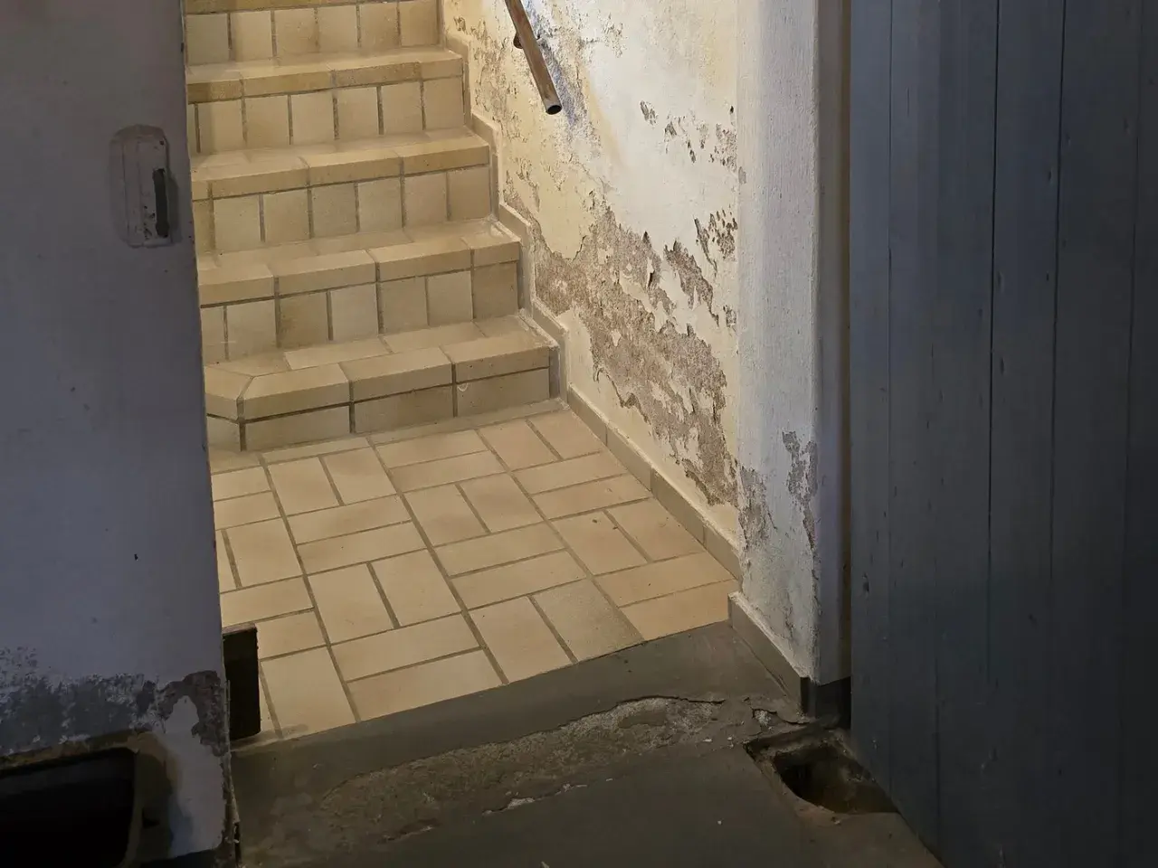 Treppe in einem Keller, der nach Ammoniak riecht. Abblätternde Farbe an der Wand, geflieste Stufen und ein dunkler Holztür.