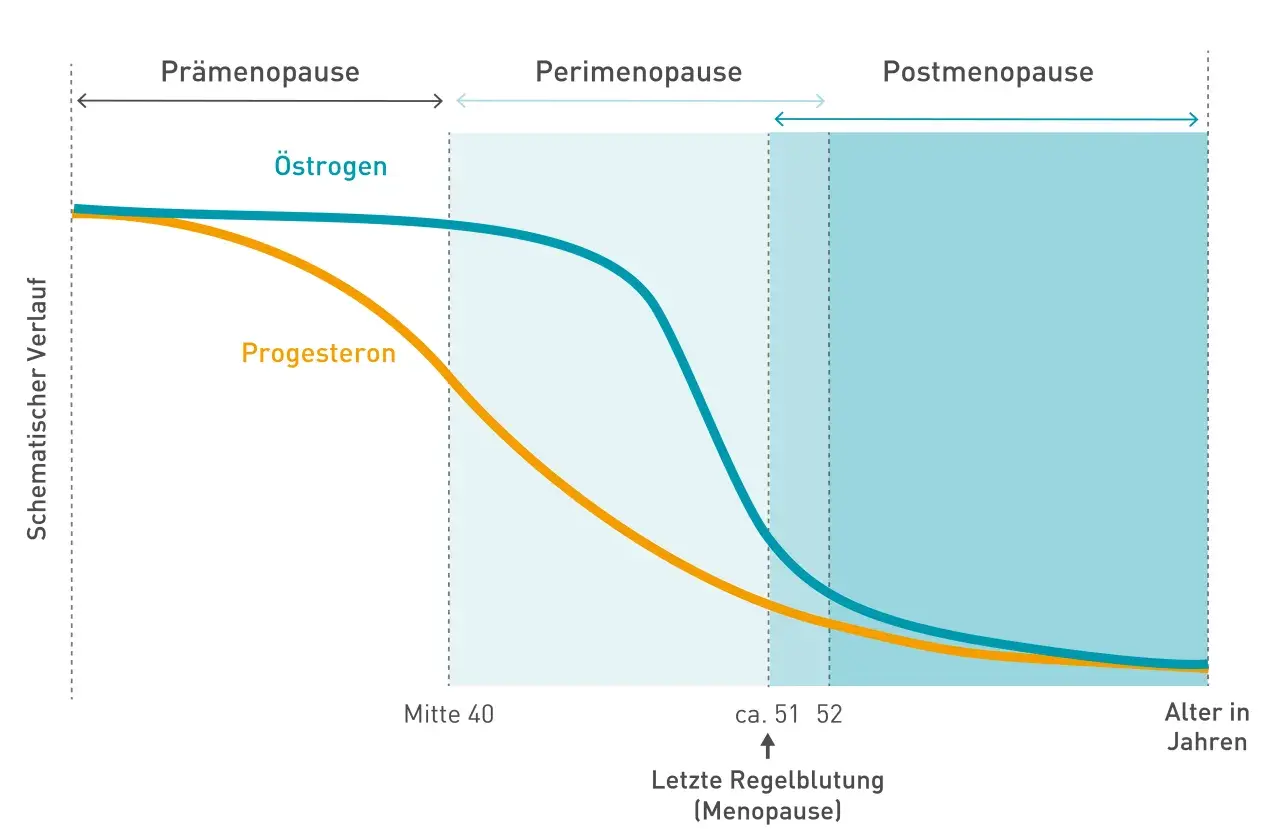 Grafik zeigt den Verlauf von Östrogen und Progesteron. Sie illustriert, wie lange dauern wechseljahre, von der Prämenopause über die Perimenopause bis zur Postmenopause.