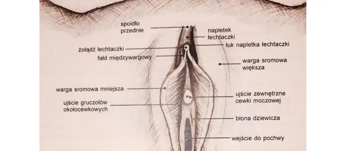 Labioplastyka nfz gdzie: Jak uzyskać refundację i uniknąć problemów