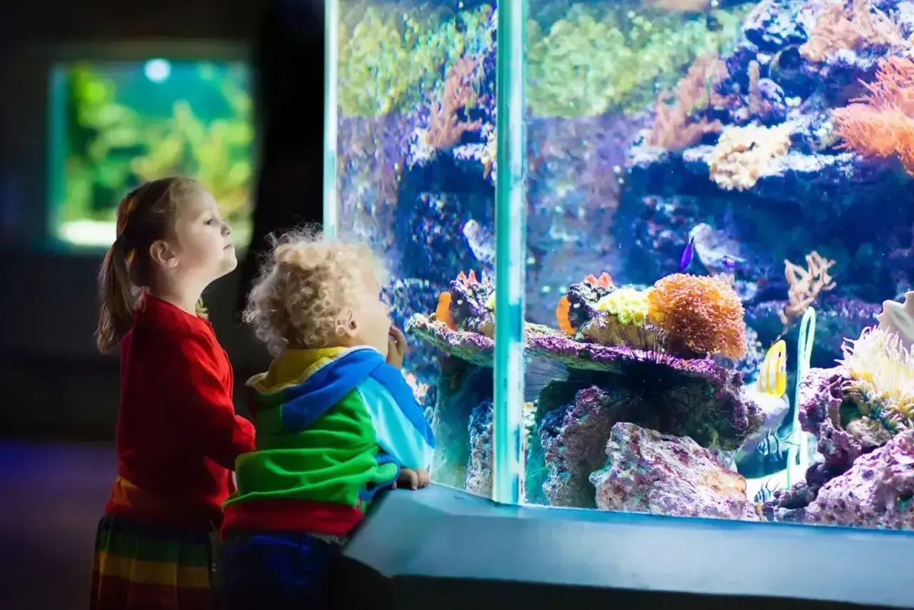 Dzieci zachwycone kolorowym światem podwodnym w oceanarium w Katowicach.