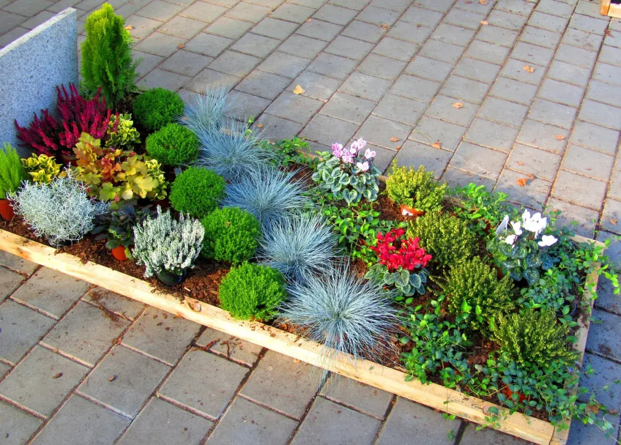 Was pflanzt man jetzt auf dem Friedhof? Eine bunte Mischung aus Heide, Ziergräsern, Buchs und Alpenveilchen sorgt für Farbe und Struktur.