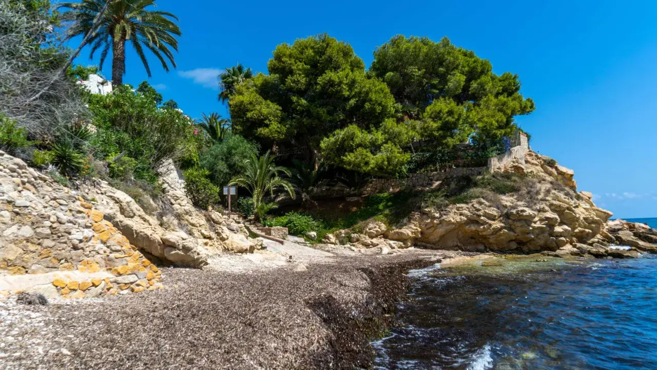 La cala nostra, con rocas doradas y vegetación exuberante, invita a la calma. El mar azul acaricia la orilla cubierta de algas.