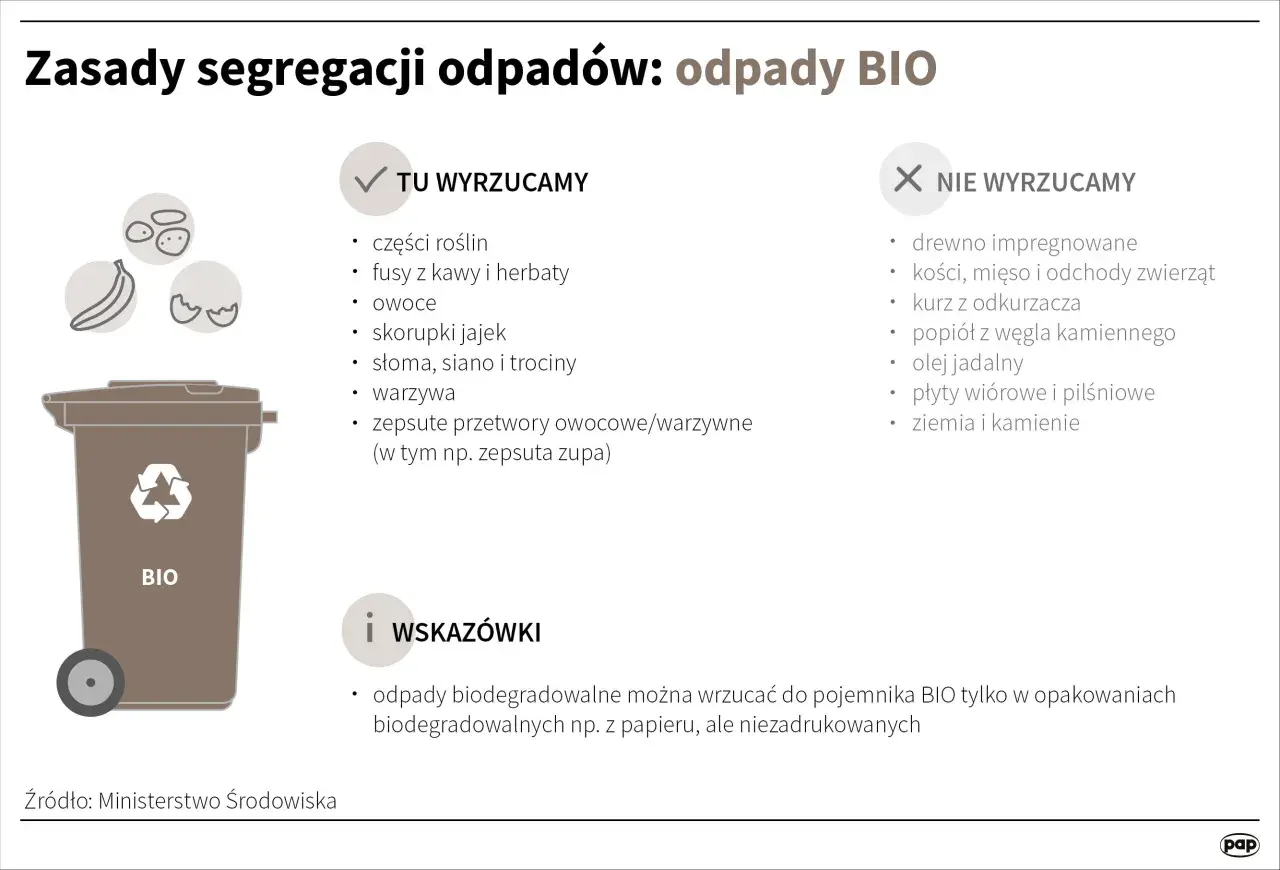 Zasady segregacji odpadów BIO: wyrzucamy resztki roślin, fusy, owoce, skorupki jaj. Wskazówka: odpady biodegradowalne można wyrzucać w workach papierowych.