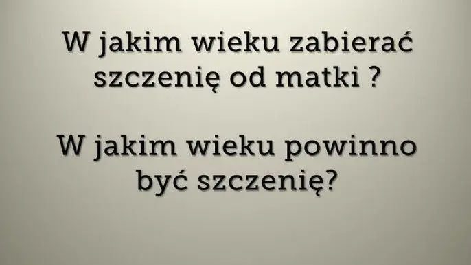 Ile szczeniak powinien być przy matce, aby uniknąć problemów zdrowotnych?
