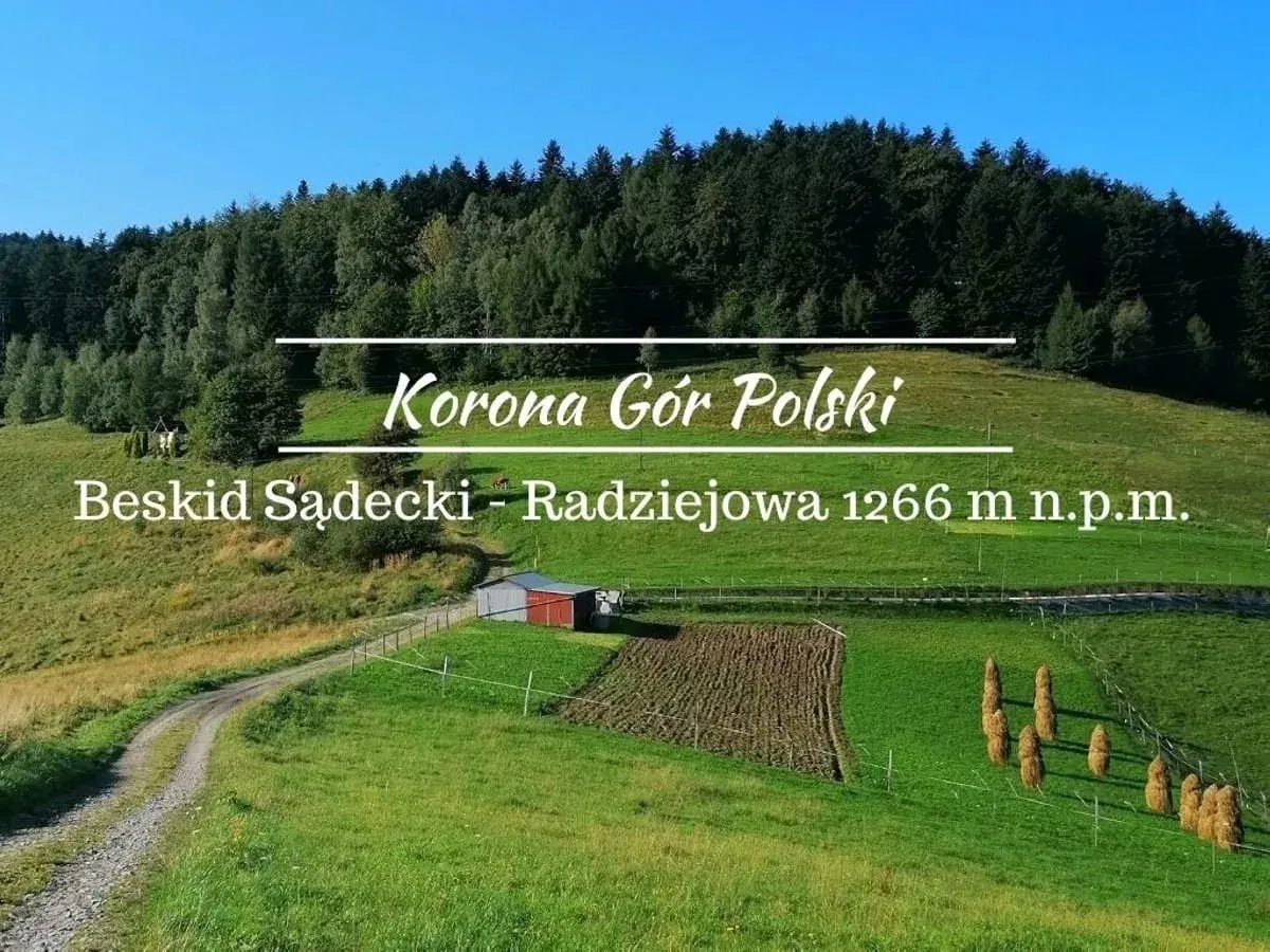 Malowniczy szczyt w Beskidzie Sądeckim, Radziejowa, 1266 m n.p.m. Zielone wzgórza, las i droga prowadząca do Korony Gór Polski.