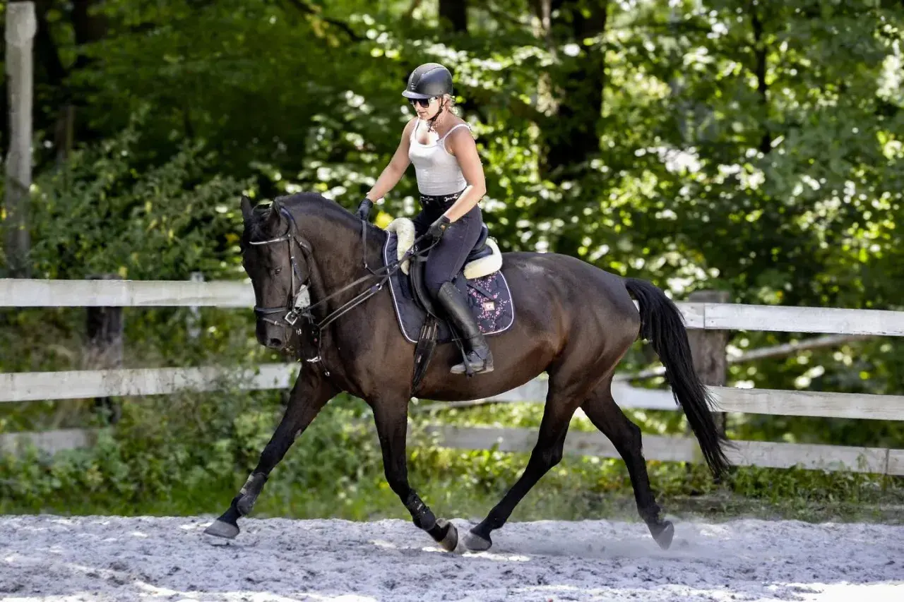 Jeździec w kasku i białej bluzce dosiada ciemnego konia na piaskowym podłożu. Trening w klubie jazdy konnej Fabrex.