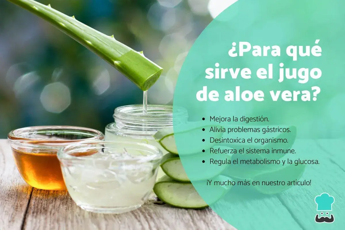 Jugo de aloe vera: mejora digestión, alivia gastritis, desintoxica, refuerza inmunidad y regula metabolismo. Descubre para qué sirve el aloe vera.