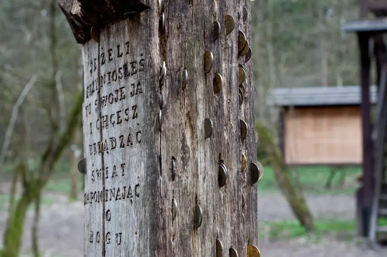 Drewniany słup z wyrytymi słowami i wbitą monetą, symbolizujący miejsce mocy w Puszczy Białowieskiej.