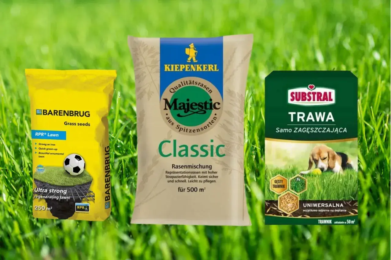 Trzy opakowania nasion traw: Barenbrug, Kiepenkerl i Substral, na tle zielonej trawy.
