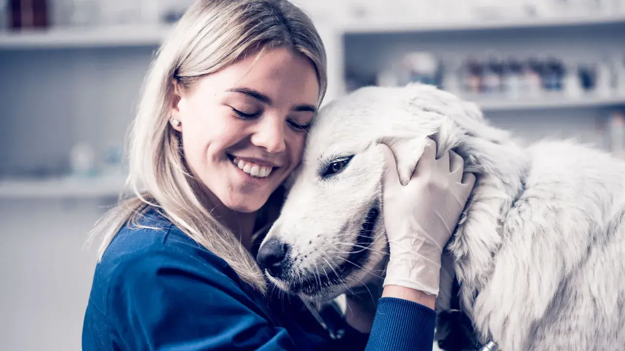 Veterinaria abraza a un perro blanco, brindando consuelo ante la ataxia en perros.