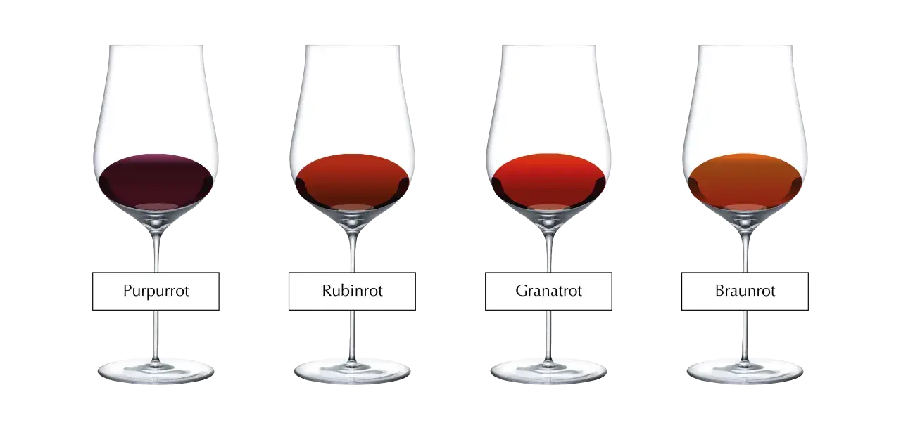 Vier Gläser zeigen die **Wein**-**Farbe** von Purpurrot bis Braunrot.