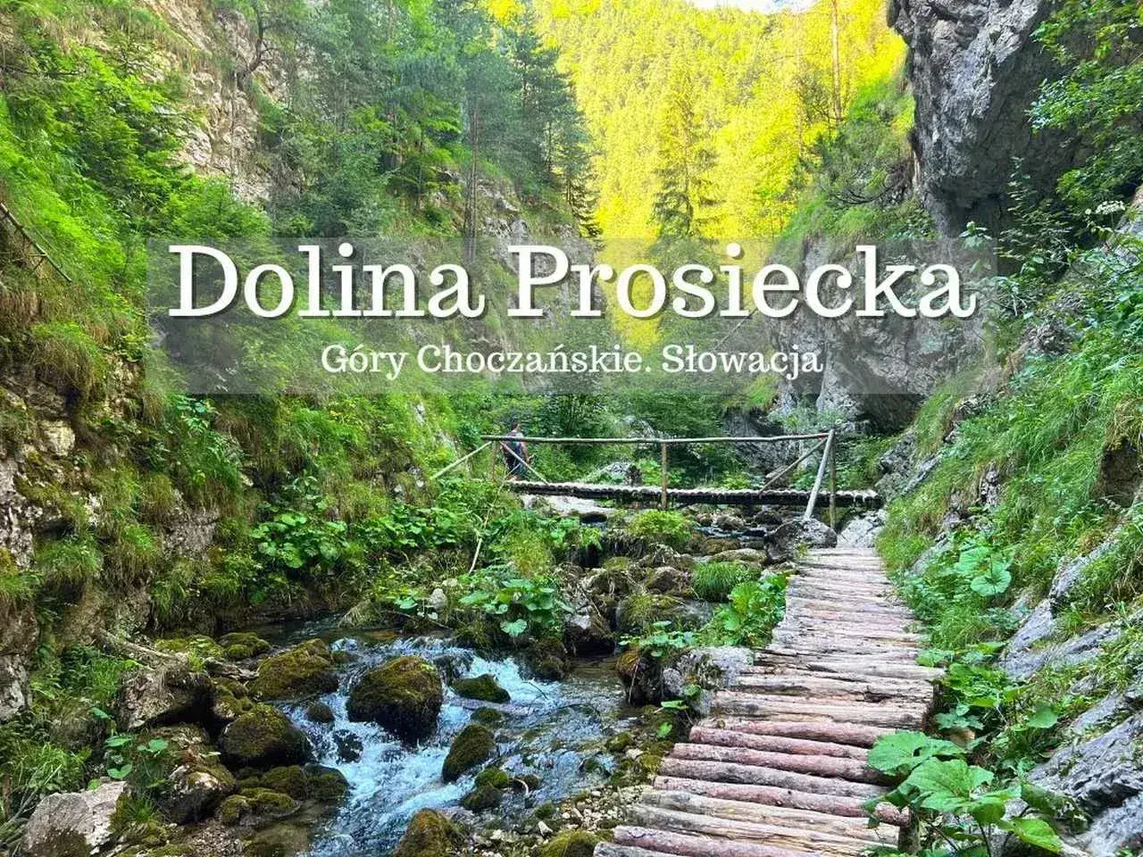 Drewniana ścieżka w Dolinie Prosieckiej, wśród zielonych zboczy Gór Choczańskich. Woda szemrze po kamieniach.
