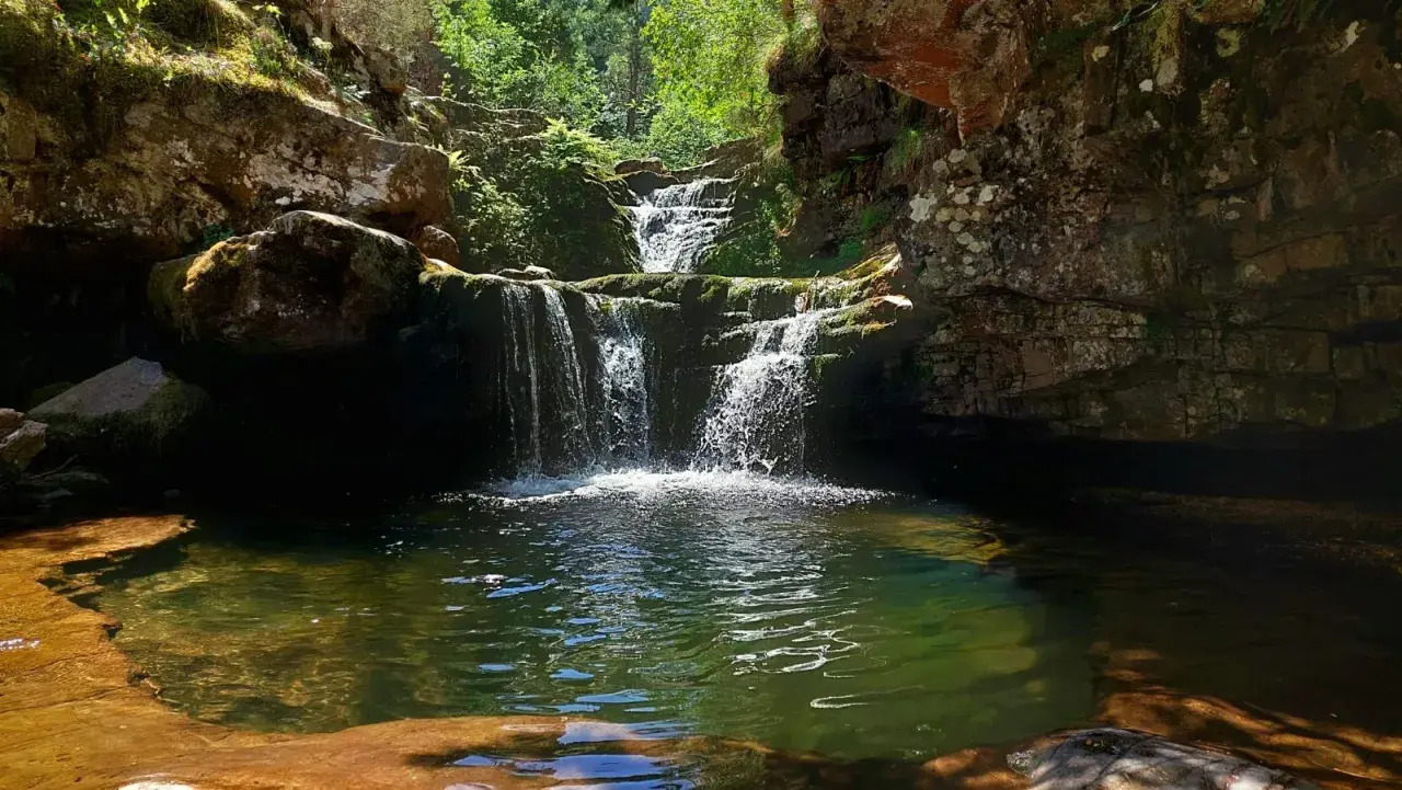 Cascada en un bosque frondoso, con rocas cubiertas de musgo y un estanque de aguas cristalinas. Un lugar idílico, como un **puente ra** natural hacia la serenidad.