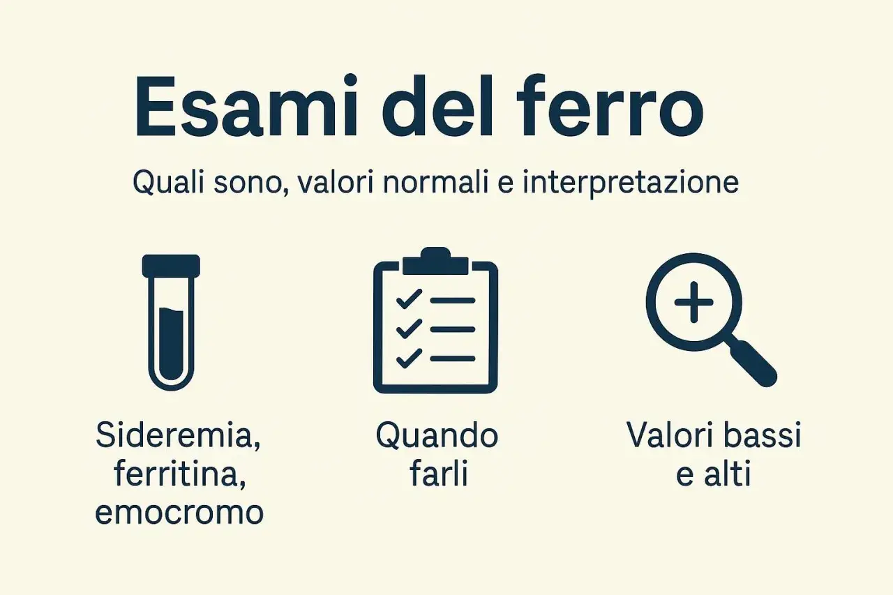 Esami del ferro: sideremia, ferritina, emocromo. Informazioni su ferro basso, sintomi donne, valori e interpretazione.
