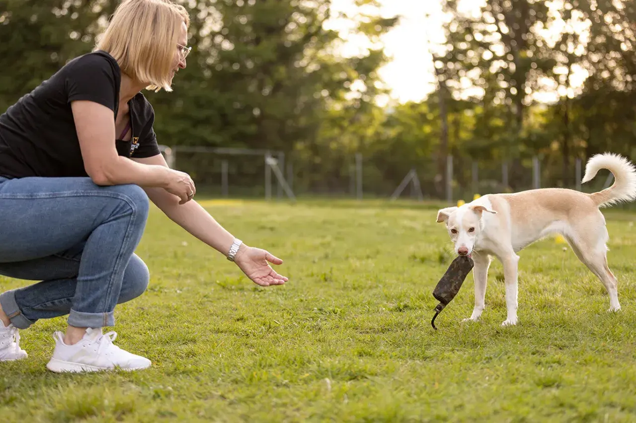 Frau kniet auf einer Wiese und streckt die Hand aus. Ein heller Hund mit einem Spielzeug im Maul steht bereit für das nächste Spiel.