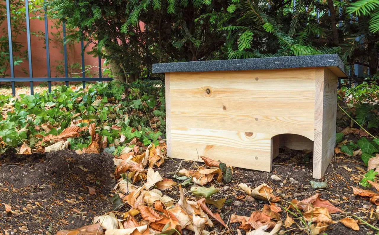 Ein neues Igelnest aus Holz steht im Garten, umgeben von Laub und Grün.