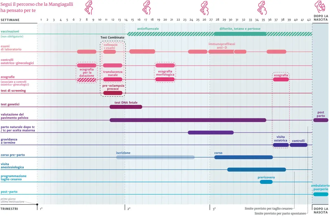 Calendario gravidanza: esami di laboratorio, ecografie, test genetici e analisi del sangue per la gravidanza, vaccinazioni e controlli ostetrici.
