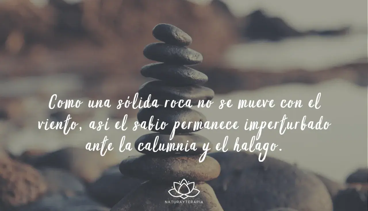 Piedras apiladas con frases de Buda: "Como una sólida roca no se mueve con el viento, así el sabio permanece imperturbado ante la calumnia y el halago.