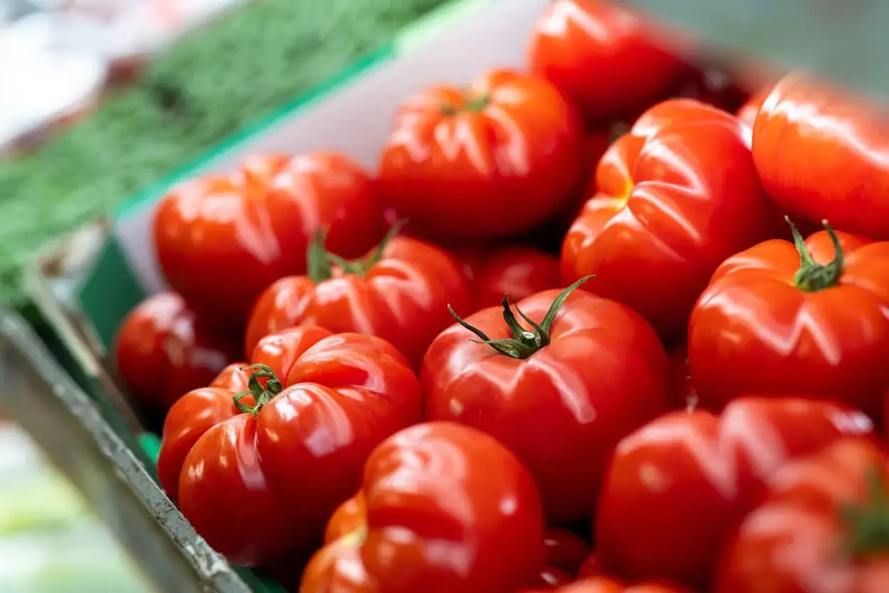 Un panier rempli de tomates rouges et juteuses, un vrai truc de grand-mère pour avoir de belles tomates.