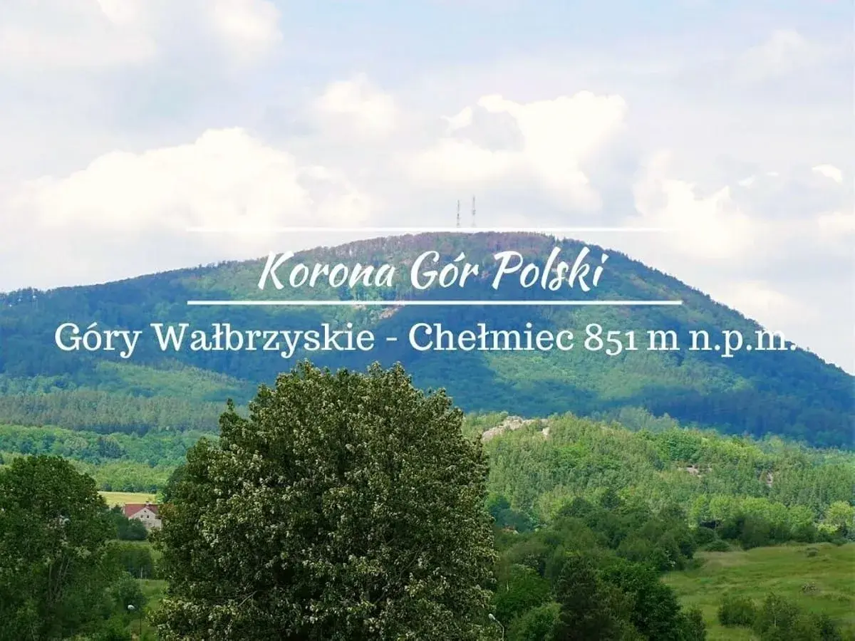 Widok na górzysty krajobraz z dominującym szczytem Chełmiec. Na pierwszym planie bujna zieleń drzew, w oddali łagodne zbocza górskie pokryte lasem.