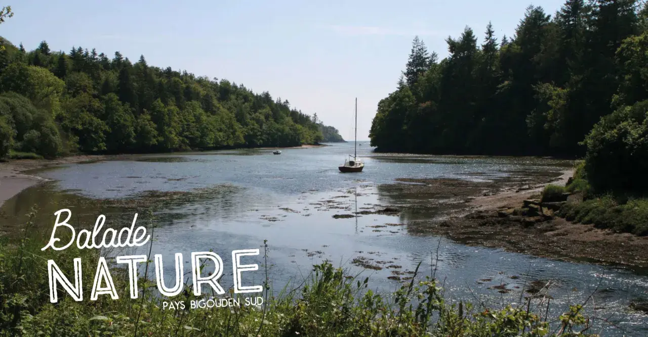 Balade nature dans le **bois de Roscouré**, un voilier navigue sur une rivière bordée de forêts luxuriantes.