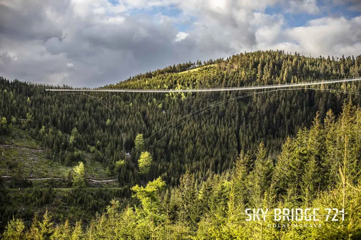 Długa, wisząca konstrukcja Sky Bridge 721 przecina gęsty, zielony las na zboczu góry.